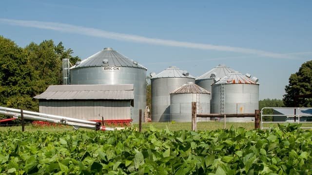 Agro enfrenta maior taxa de recuperações judiciais entre setores produtivos