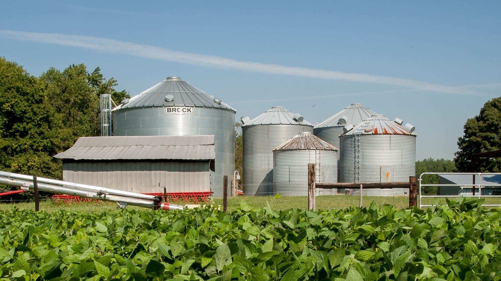 Agro enfrenta maior taxa de recuperações judiciais entre setores produtivos